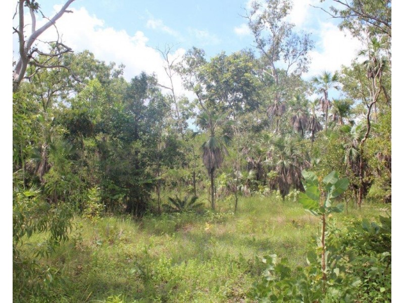 45 Threadfin Road, Dundee Downs NT 0840