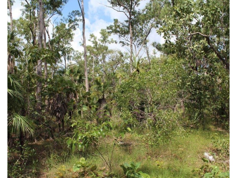 45 Threadfin Road, Dundee Downs NT 0840