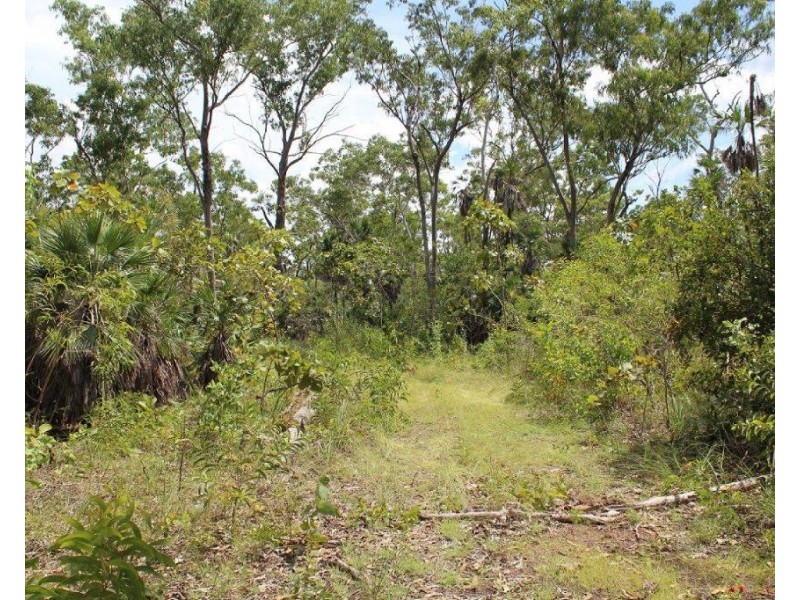 45 Threadfin Road, Dundee Downs NT 0840