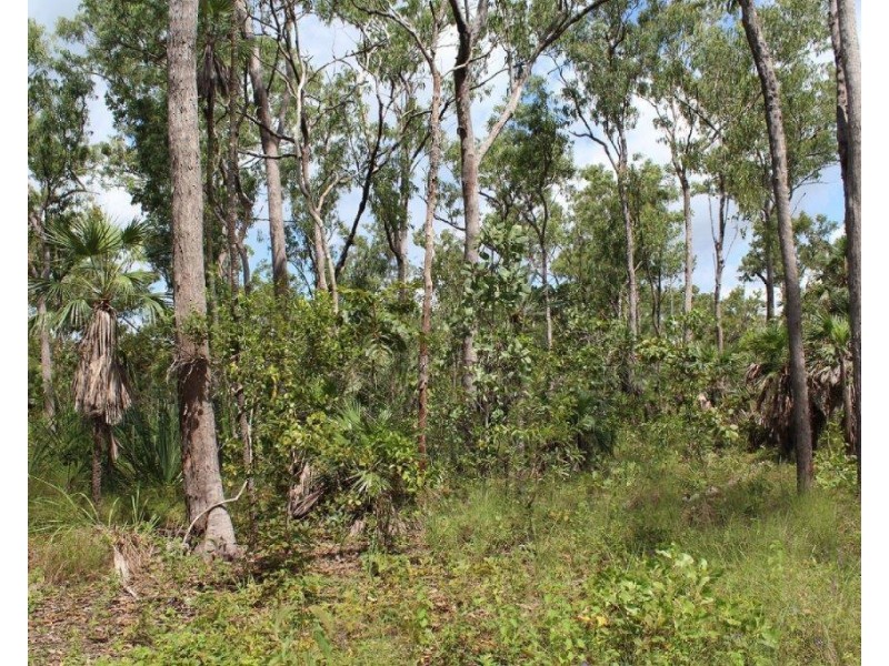 45 Threadfin Road, Dundee Downs NT 0840