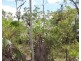 45 Threadfin Road, Dundee Downs NT 0840