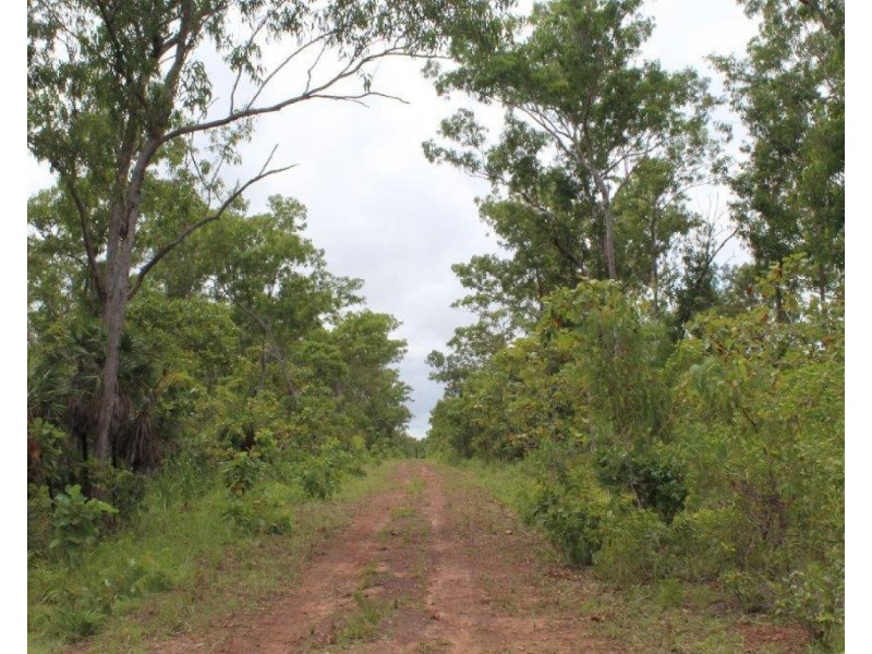 45 Threadfin Road, Dundee Downs NT 0840