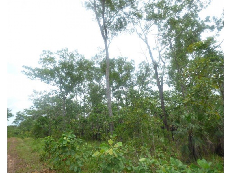 45 Threadfin Road, Dundee Downs NT 0840