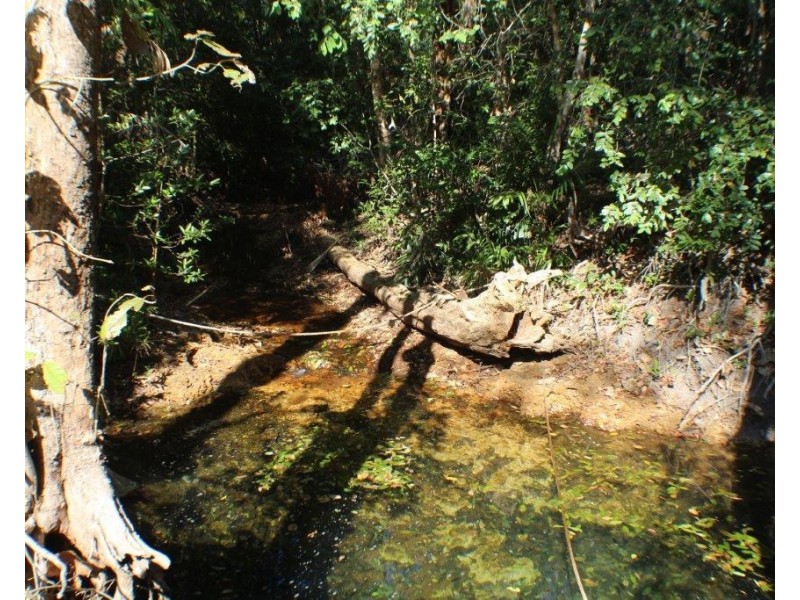 45 Threadfin Road, Dundee Downs NT 0840
