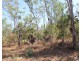 45 Threadfin Road, Dundee Downs NT 0840