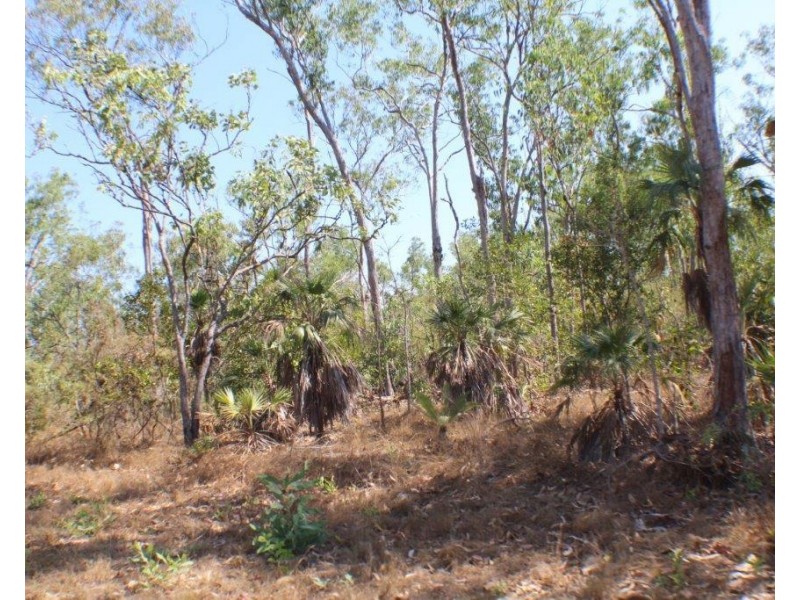 45 Threadfin Road, Dundee Downs NT 0840
