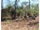 45 Threadfin Road, Dundee Downs NT 0840
