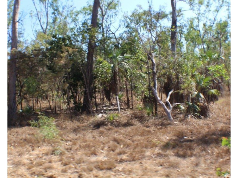 45 Threadfin Road, Dundee Downs NT 0840