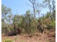 45 Threadfin Road, Dundee Downs NT 0840