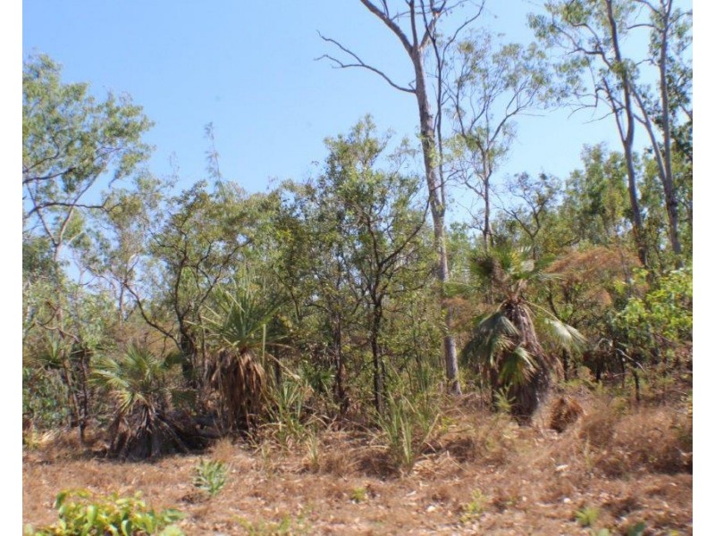 45 Threadfin Road, Dundee Downs NT 0840