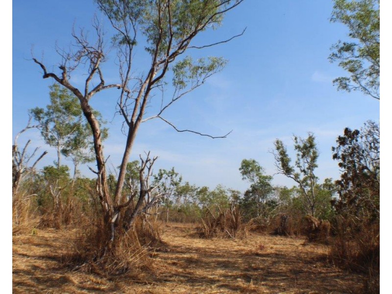 Lot 9 255 Elizabeth Valley Road, Noonamah NT 0837
