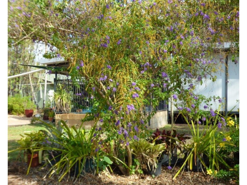 152 Balanda Drive, Dundee Beach NT 0840