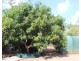 152 Balanda Drive, Dundee Beach NT 0840