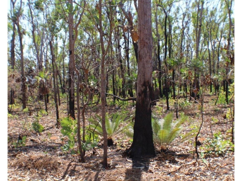 275 Namarada Drive, Dundee Beach NT 0840