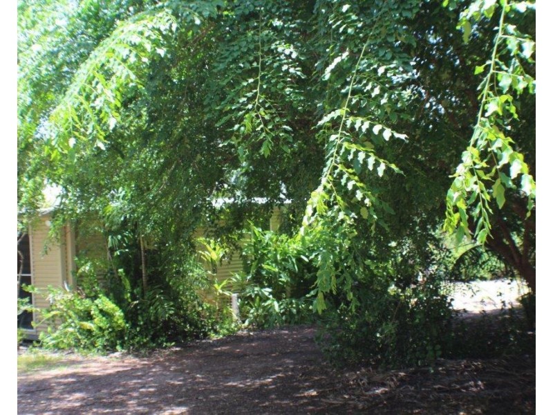 365 Darwin River Road, Darwin River NT 0841