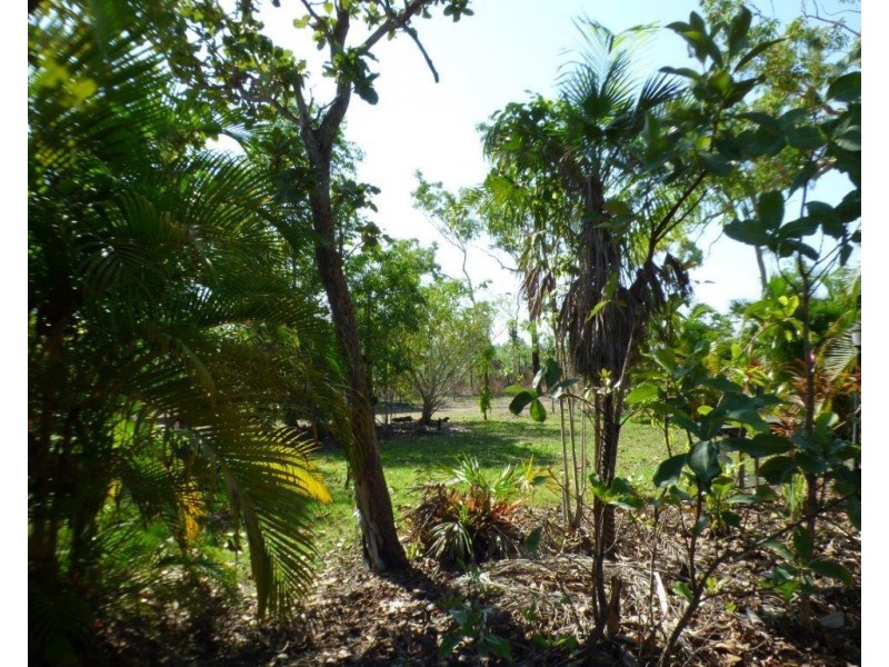 365 Darwin River Road, Darwin River NT 0841