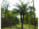 155 Produce Road, Humpty Doo NT 0836