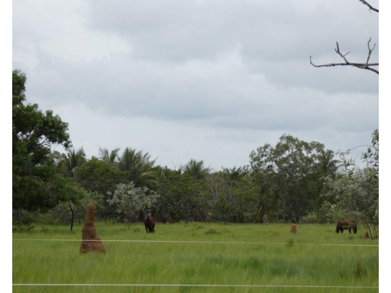 85 Freds Pass Road, Humpty Doo NT 0836