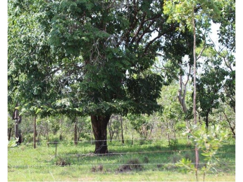 Lot 14/ 11 Whitstone Road, Acacia Hills NT 0822