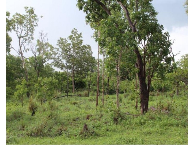 Lot 14/ 11 Whitstone Road, Acacia Hills NT 0822