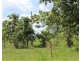 Lot 14/ 11 Whitstone Road, Acacia Hills NT 0822