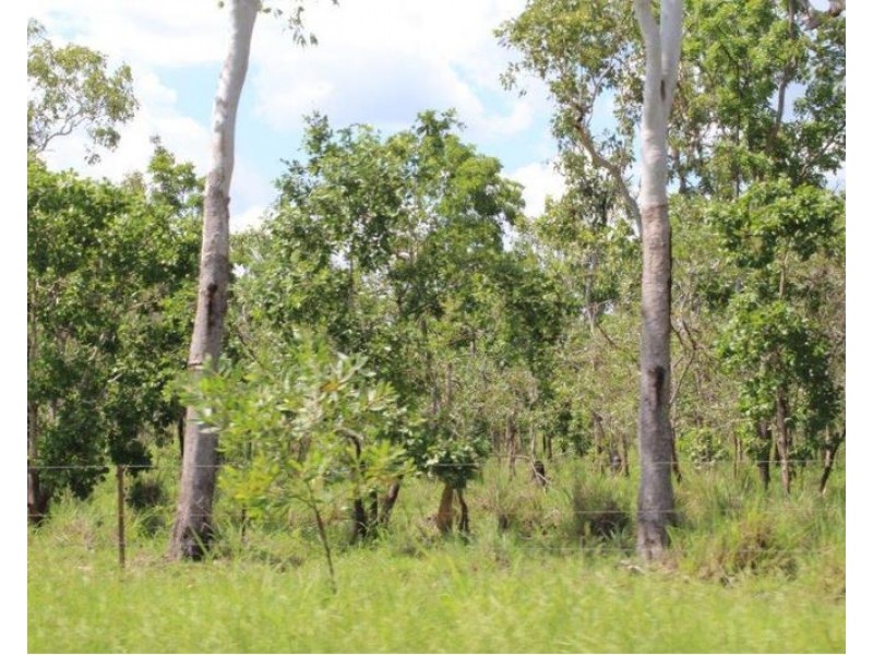 Lot 14/ 11 Whitstone Road, Acacia Hills NT 0822