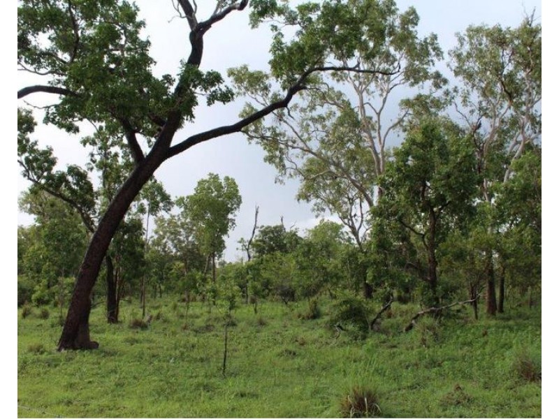 Lot 14/ 11 Whitstone Road, Acacia Hills NT 0822