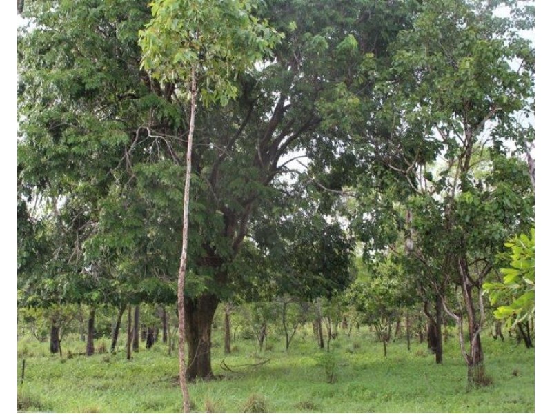 Lot 14/ 11 Whitstone Road, Acacia Hills NT 0822