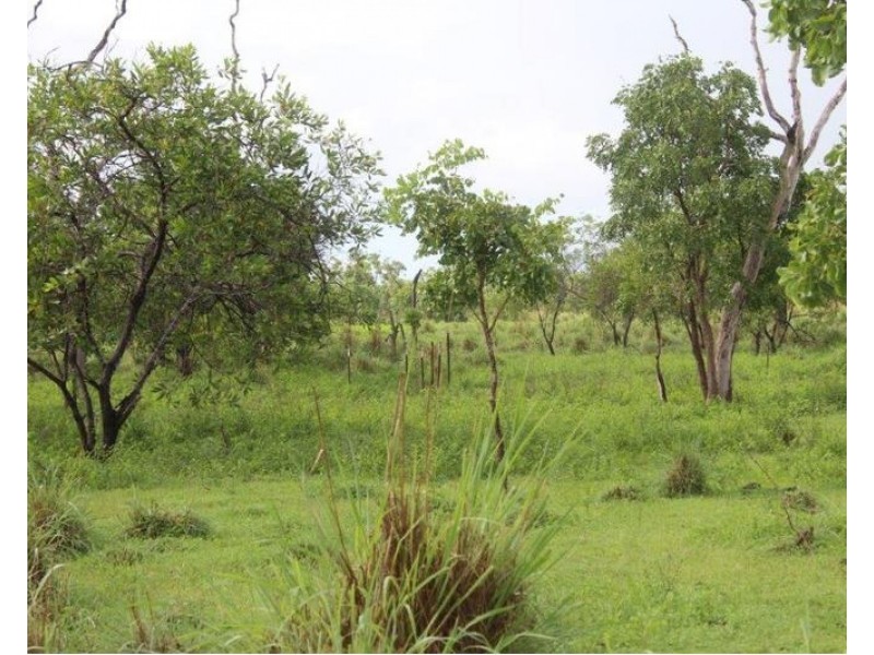 Lot 14/ 11 Whitstone Road, Acacia Hills NT 0822
