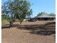 Collett Creek NT 0845