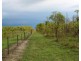 Collett Creek NT 0845