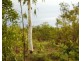 Collett Creek NT 0845