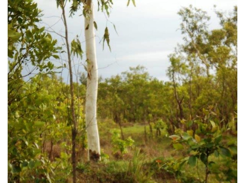 Collett Creek NT 0845