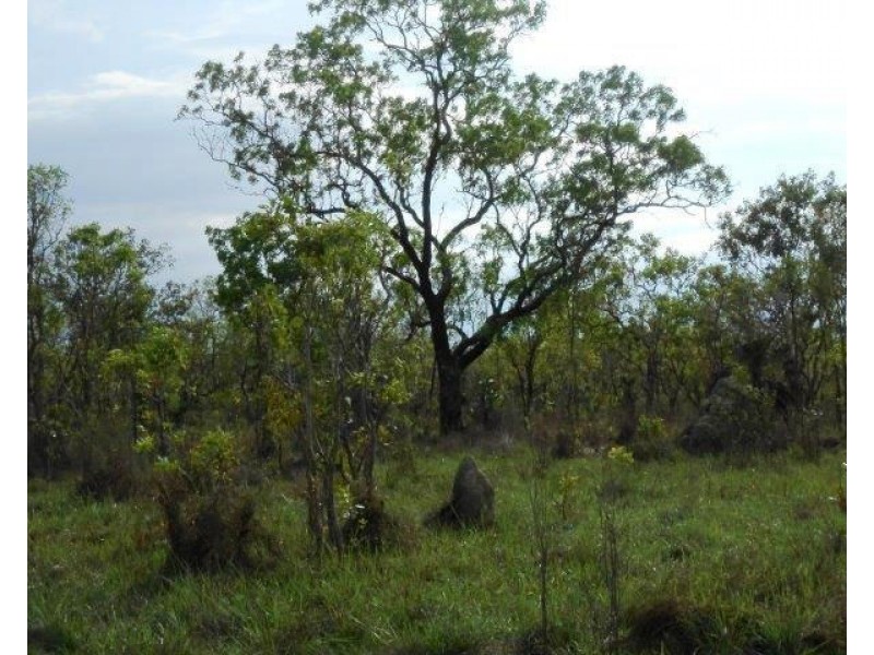 Collett Creek NT 0845