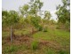 Collett Creek NT 0845