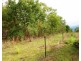 Collett Creek NT 0845