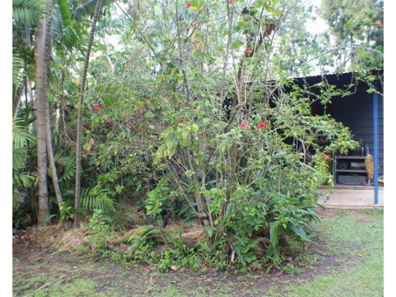 Bees Creek NT 0822