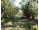 Bees Creek NT 0822