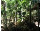 1160 Girraween Road, Herbert NT 0836