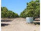 Livingstone NT 0822