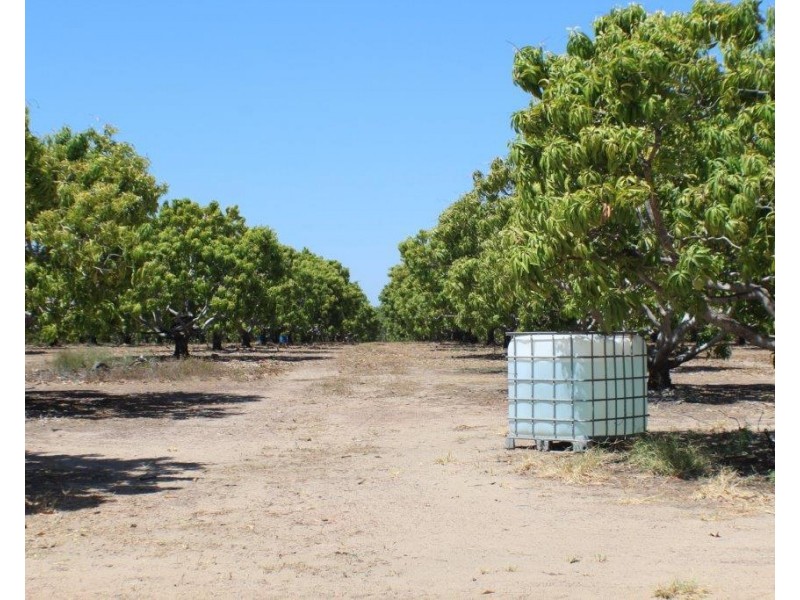 Livingstone NT 0822