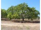Livingstone NT 0822