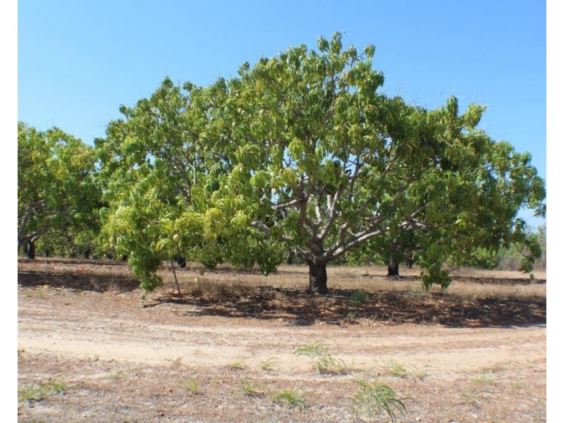 Livingstone NT 0822