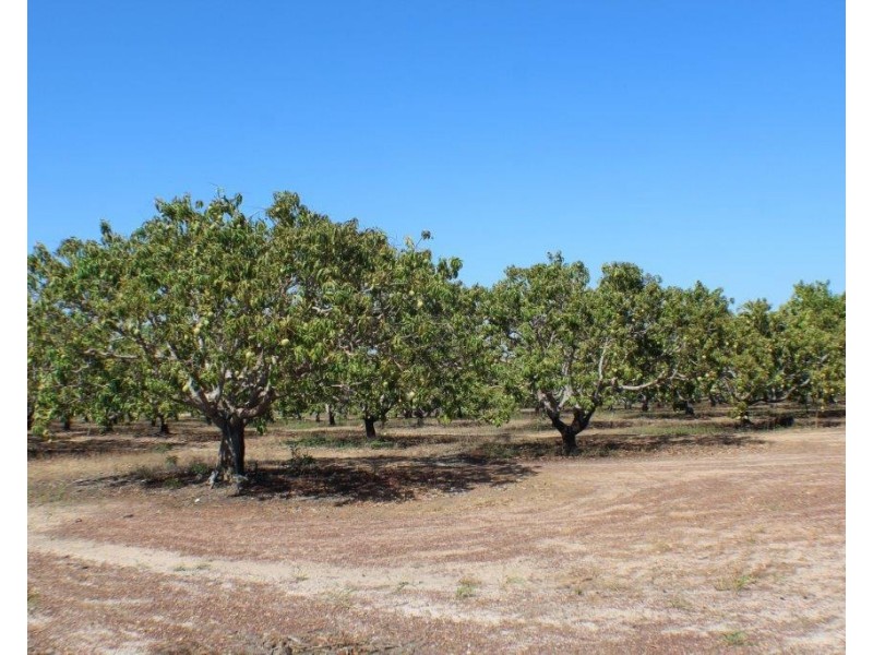 Livingstone NT 0822