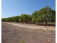 Livingstone NT 0822
