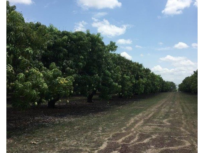 Livingstone NT 0822