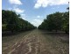 Livingstone NT 0822
