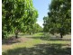 Livingstone NT 0822