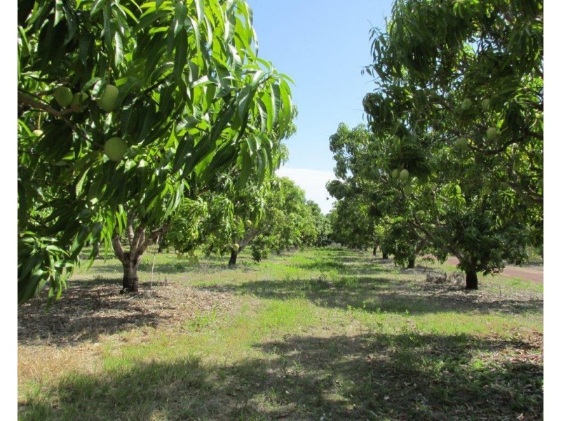 Livingstone NT 0822