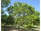 Livingstone NT 0822